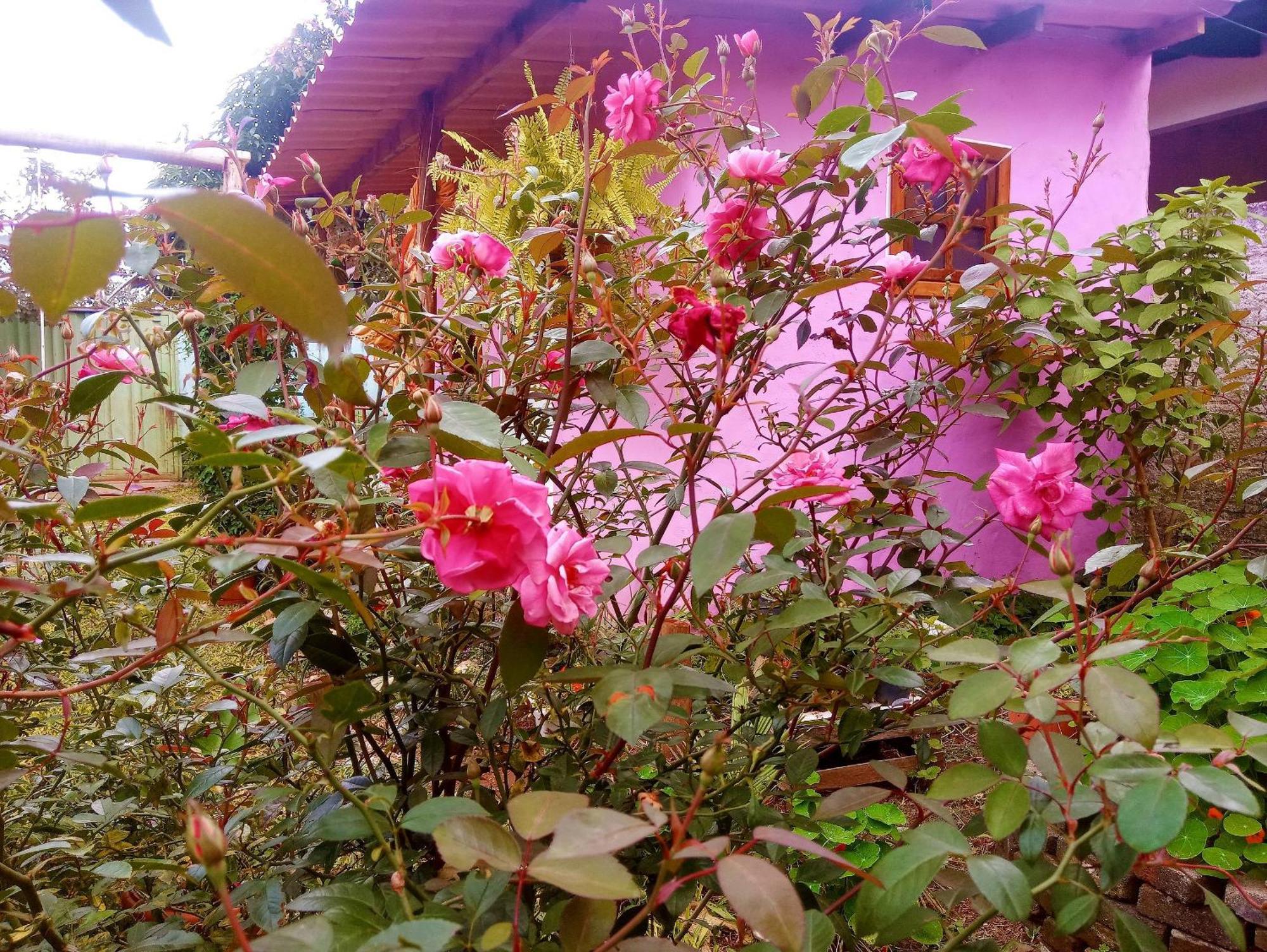 Villa Agape - Chapada Dos Veadeiros Alto Paraíso de Goiás Exterior foto